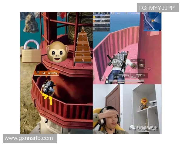 专访刘娜揭秘和平精英成功背后的策略与创新之路实时新闻